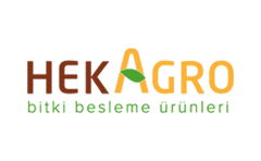 HEKAGRO | Web Tasarım